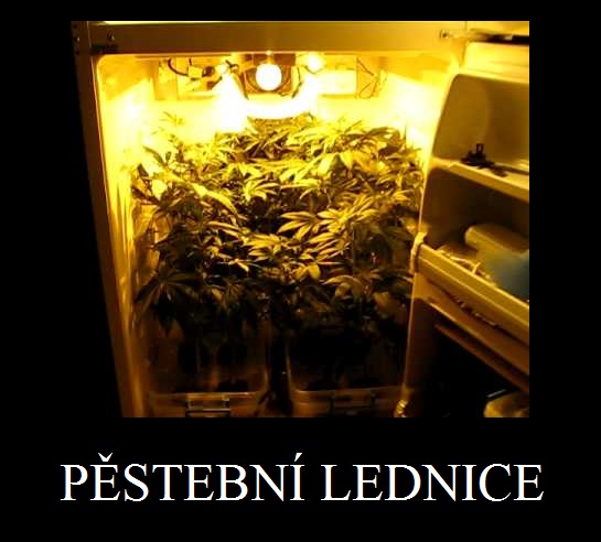 pestebni.jpg