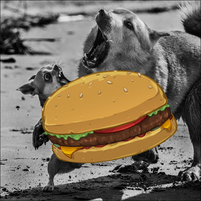 digshamburger.jpg