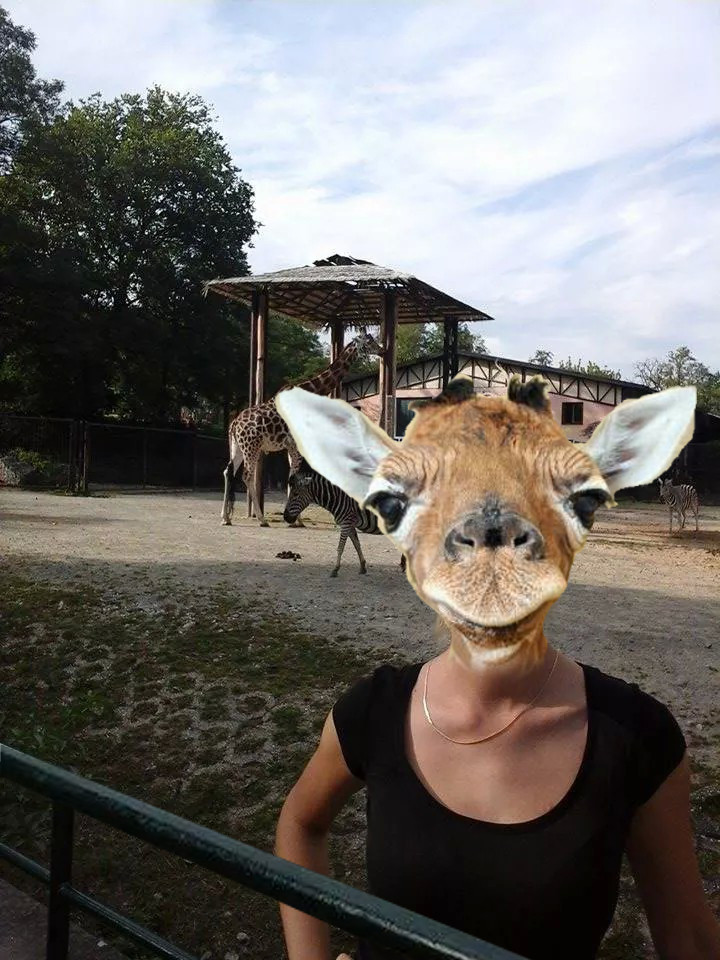 16273received_m_mid_1409337623849_43d46d35bc8a7ce488_0.jpeg 16273received_m_mid_1409337623849_43d46d35bc8a7ce488_0.jpeg