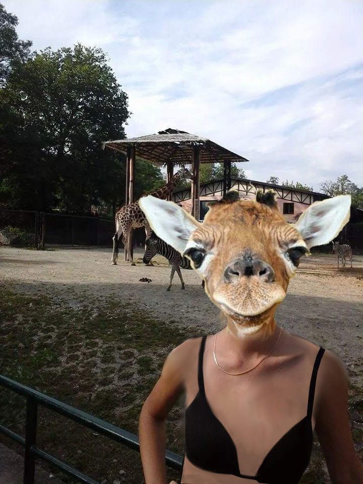 zirafa_leak.jpeg zirafa_leak.jpeg