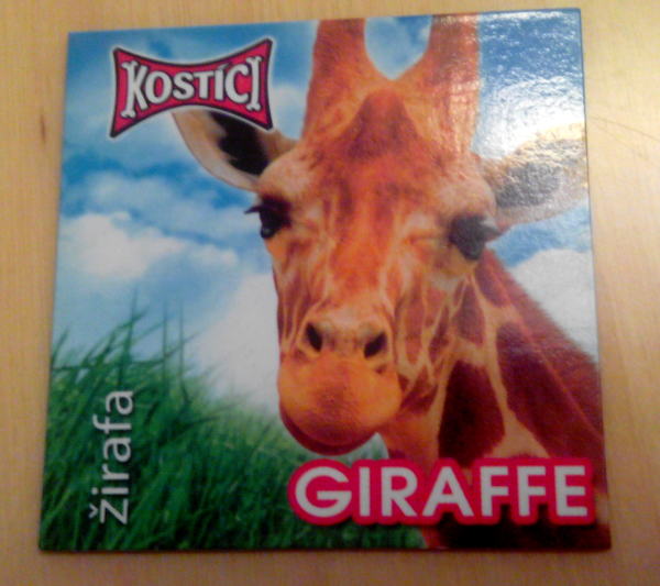 girafa.jpg