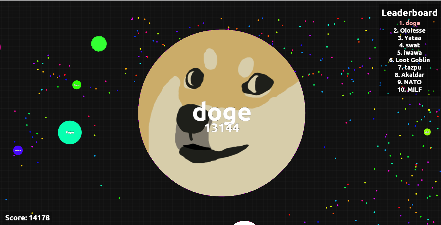 doge.png