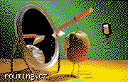 19152male-kiwi.png