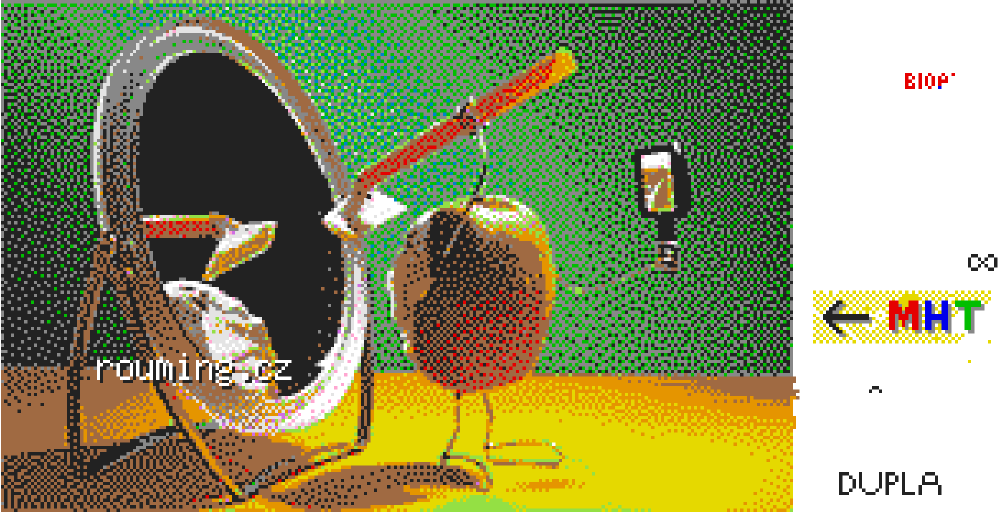 kiwi.png