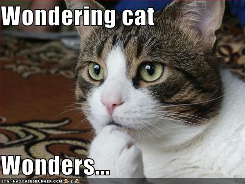 wondering.jpg