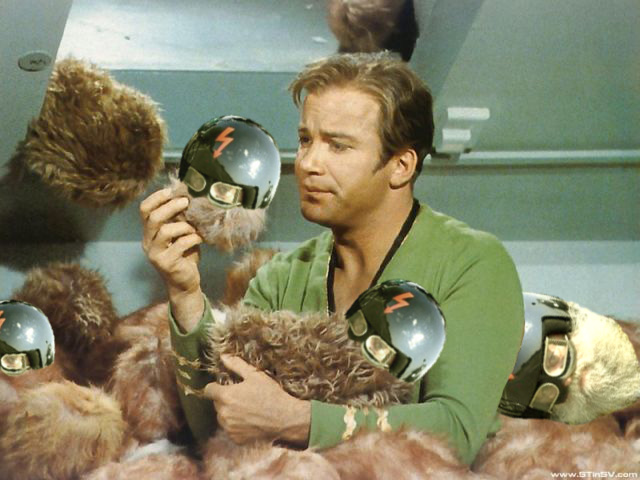 Tribbles_copy.jpg