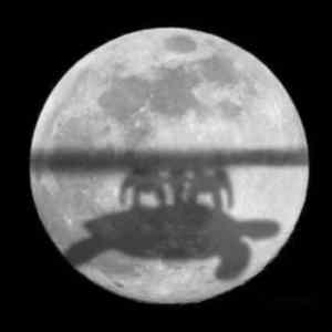 Atremis&nbsp;II&nbsp;real&nbsp;picture