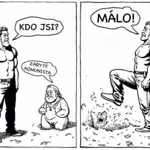 Ban Vavra