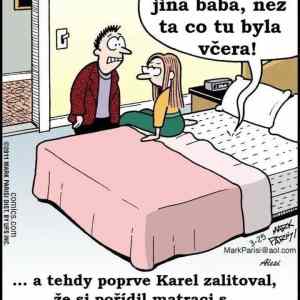 Karlova chyba