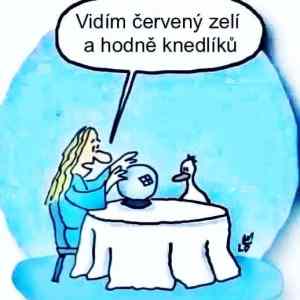 MRGA0956-Svatomartinsky