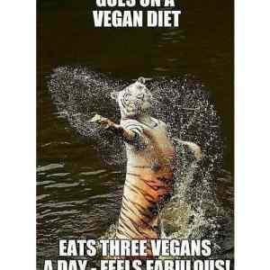 Nutrition&nbsp;elation