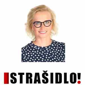 Strasidlo