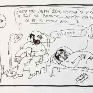 Svijany