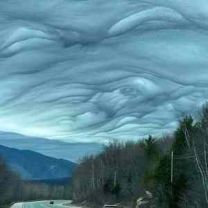 Undulatus Asperatus