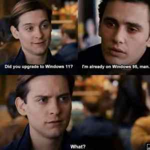 Windows and dorks