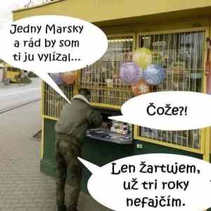  C4 B7ed gentleman zartuje 