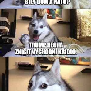 a nato