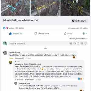 alergie na modrozlutou