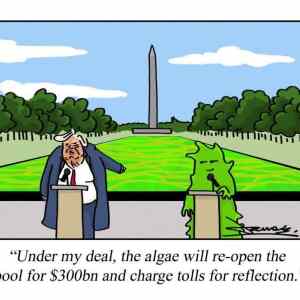 algea&nbsp;war