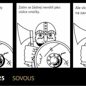 battlevowl