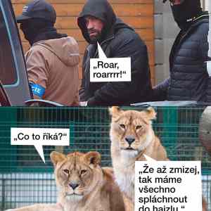 bile&nbsp;vanoce&nbsp;u&nbsp;vemolu