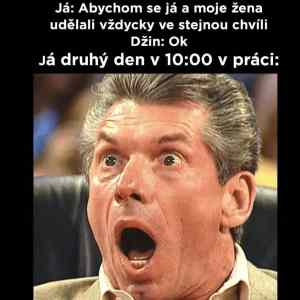 do&nbsp;prace&nbsp;z&nbsp;vesela