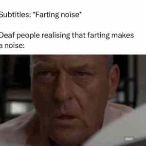 fartnoise
