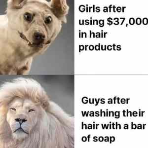 girls vs boys