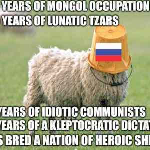 heroic sheep
