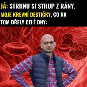 krevni OSB desky 