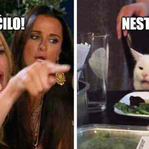 nestacilo
