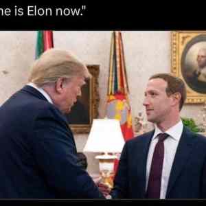 new elon