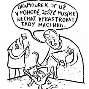 okamourek&nbsp;a&nbsp;micinka