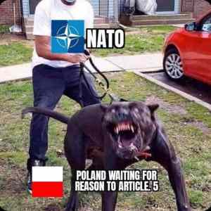poland waiting