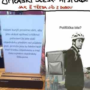 polifcicka