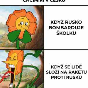 rusomrdi na Roumingu