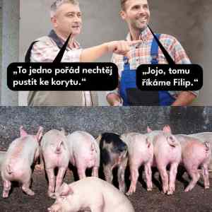 tak&nbsp;ale&nbsp;filipe