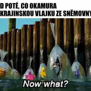 ukol splnen co dal