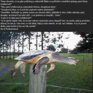 vtip o alence s obrazkem