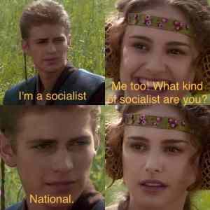 we are all socialists